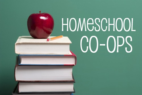 Finding a Homeschool Co-op that Fits