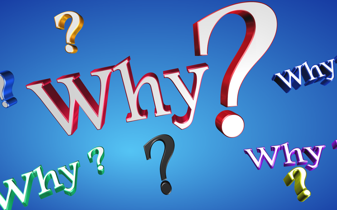 The Power of Asking “Why?”