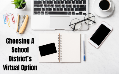 Choosing A School District’s Virtual Option