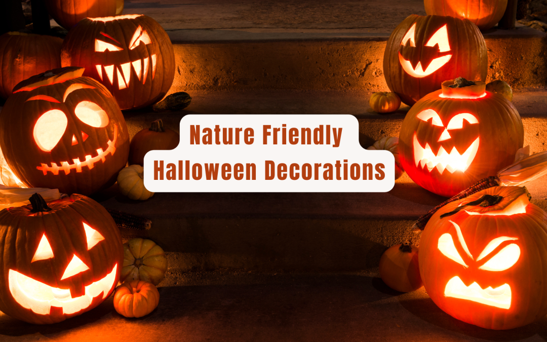 Nature Friendly Halloween Decorations